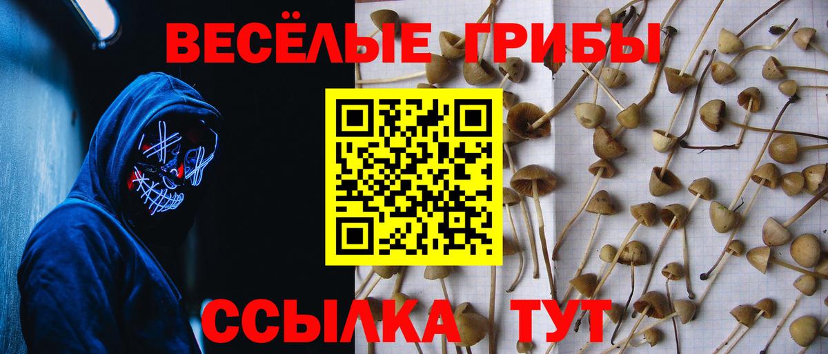 Галлюциногенные грибы GOLDEN TEACHER  Вход с VPN  Псилоцибиновые грибы мухоморы  Алейск 